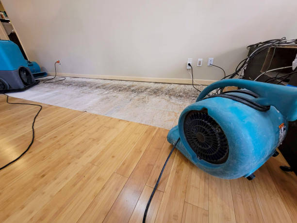 Professional Emergency Water Damage technician working in Diamond Bar, CA
